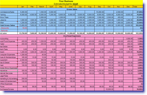MEMBER DOWNLOAD: Horse Business Budget Worksheet
