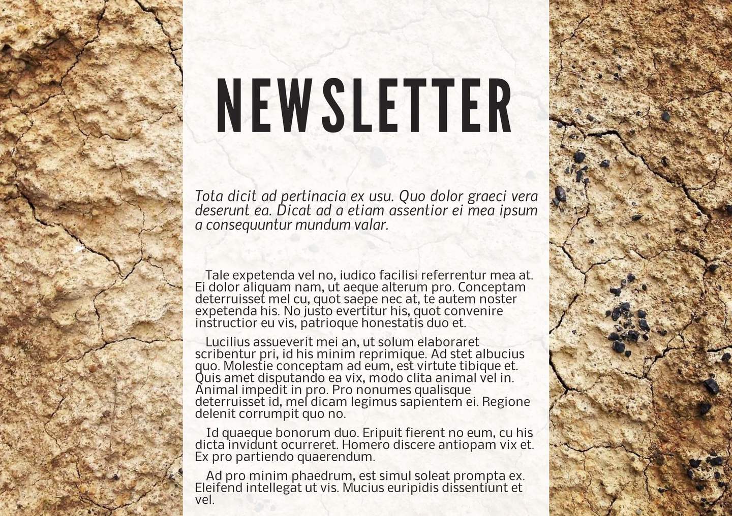 Free Printable Newsletter Templates & Email Newsletter Examples