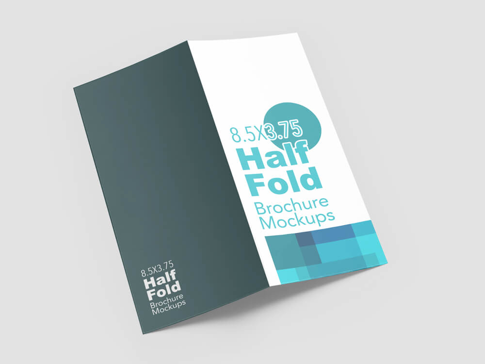 Half Fold Vertical Brochure Mockups on Vectogravic Design 