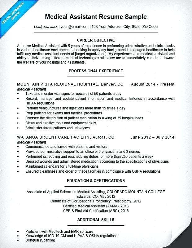 Medical Support Assistant Resume 26313 | ifest.info