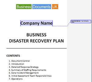 Business Continuity And Disaster Recovery Plan Template Sample 