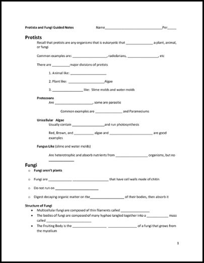 Guided Notes   Strategies for Students