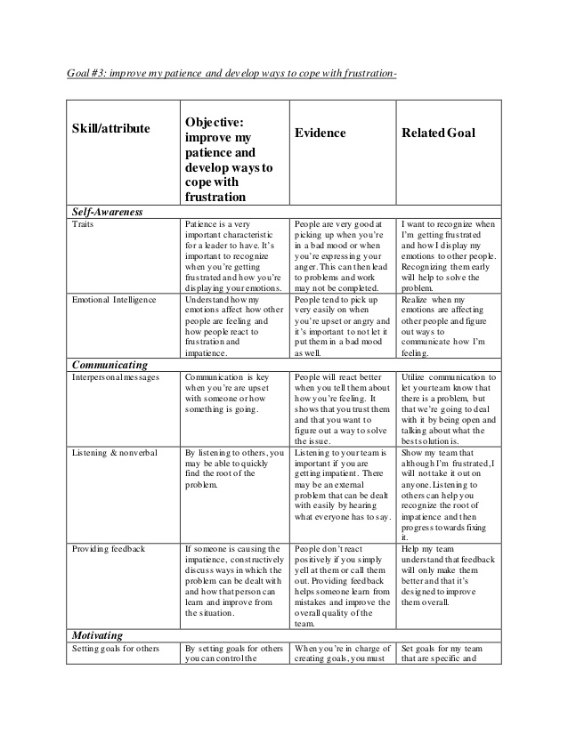 interpersonal relations  leadership development plan draft