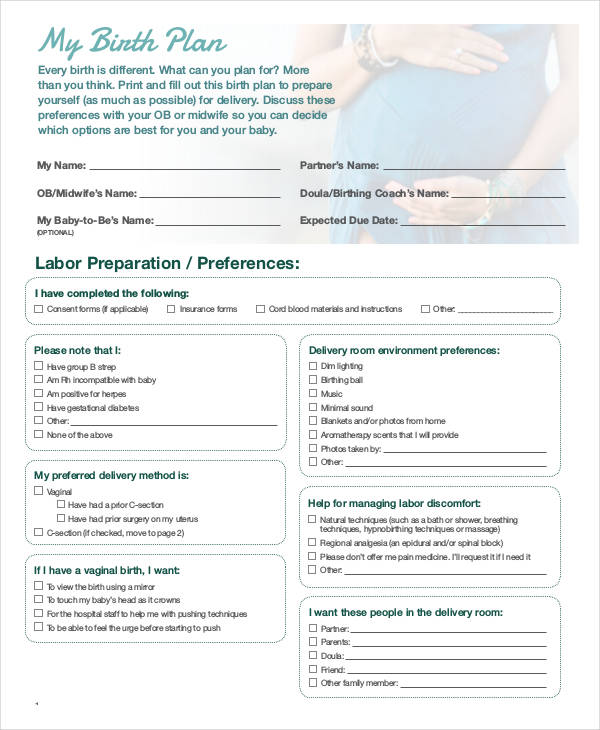birth plan form printable   Mini.mfagency.co