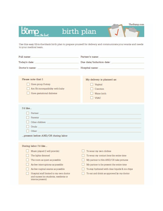 47+ Printable Birth Plan Templates [Birth Plan Checklist 